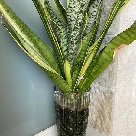 Appartamento La Terraza *