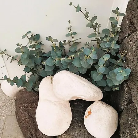 La Terraza Appartement